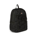 Dickies Ashville backpack black — One size fits most