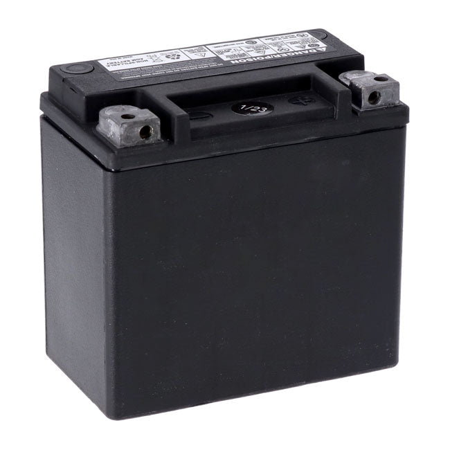 MCS, Advance Series - AGM sealed battery. 12v, 12Ah, 220cca