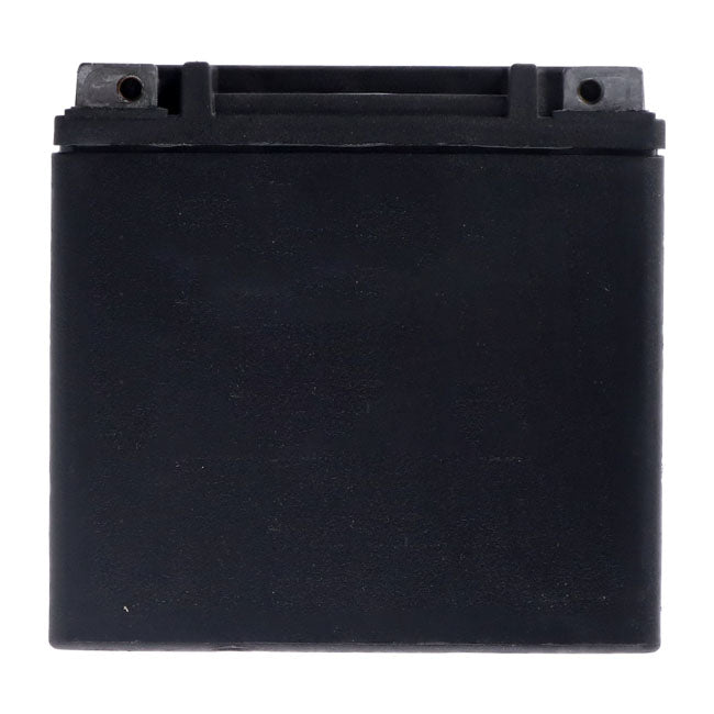 MCS, Advance Series - AGM sealed battery. 12v, 12Ah, 220cca