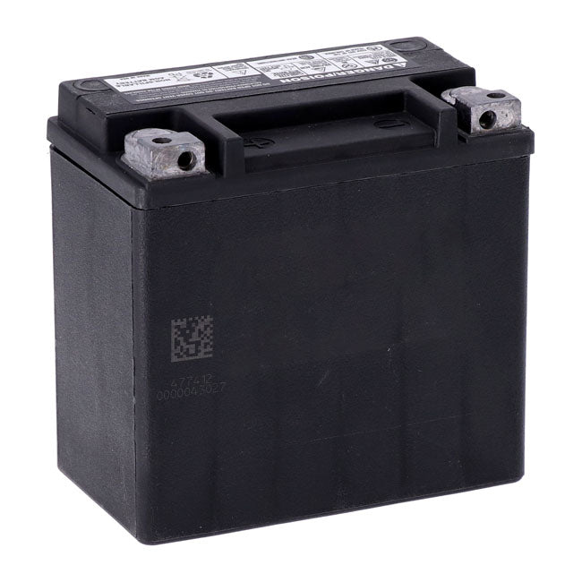 MCS, Advance Series - AGM sealed battery. 12v, 12ah, 220cca