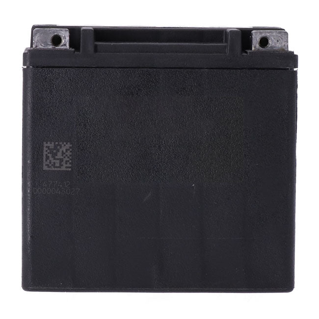 MCS, Advance Series - AGM sealed battery. 12v, 12ah, 220cca