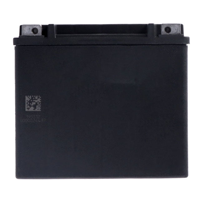 MCS, Advance Series - AGM sealed battery. 12v, 19ah. 325cca