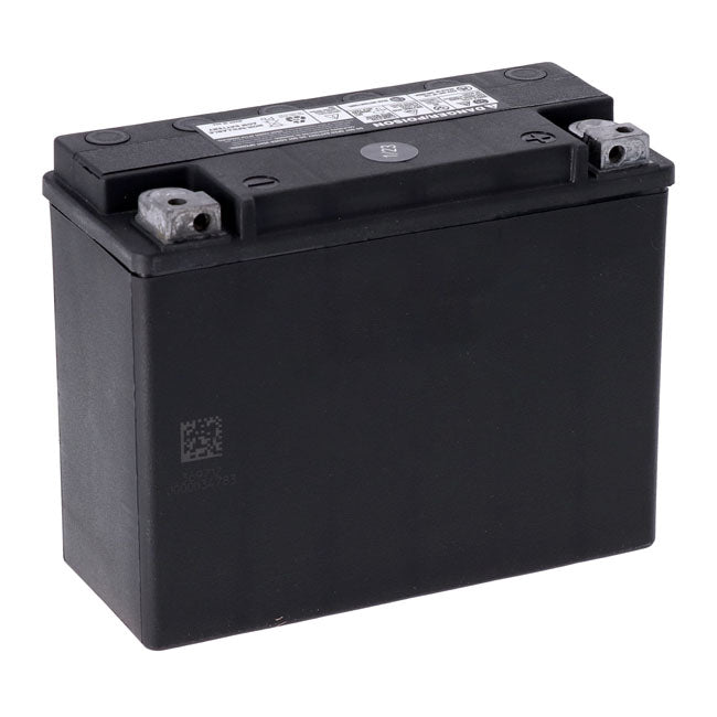 MCS, Advance Series - AGM sealed battery. 12v, 20ah, 340cca