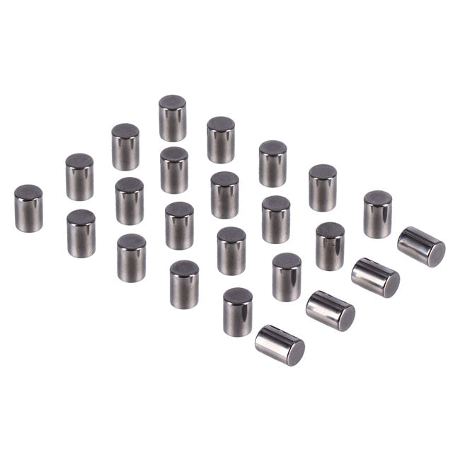 Pinion shaft (left side) crankcase rollers. +.0002"