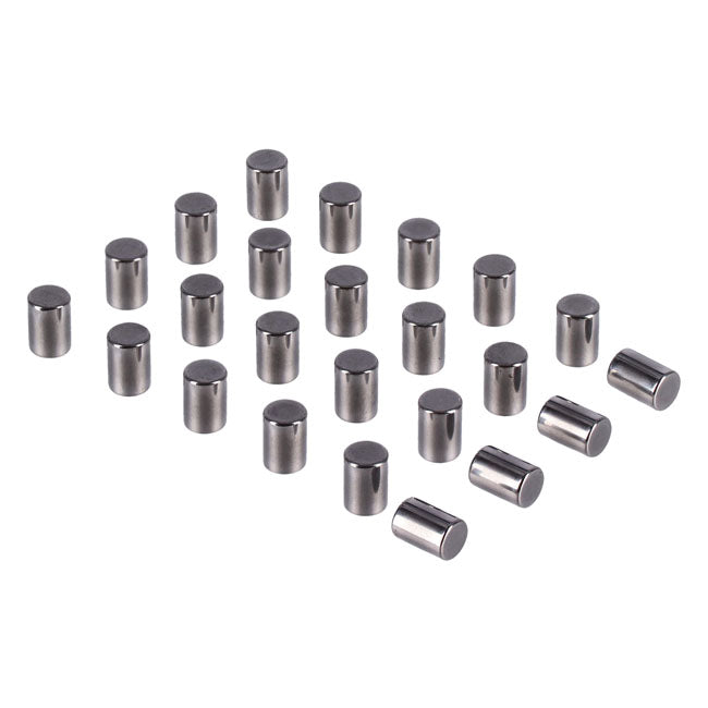 Pinion shaft (left side) crankcase rollers. +.0004"