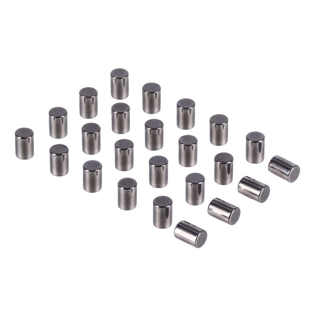 Pinion shaft (left side) crankcase rollers. +.0010"