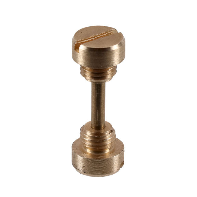 Screw/pin and screwkit, oversize pin