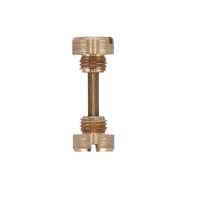Screw/pin and screwkit, oversize pin