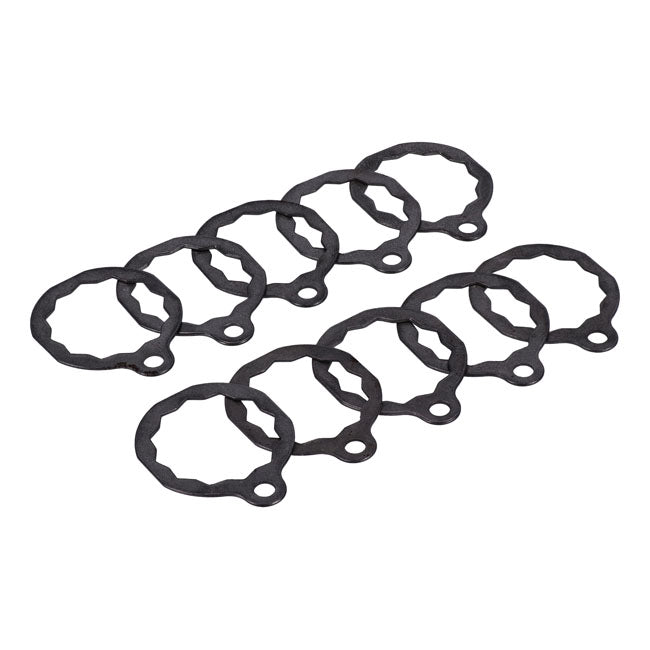 Lockwasher, crankpin nut