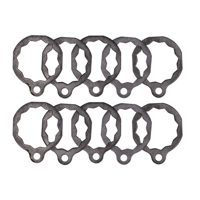 Lockwasher, crankpin nut
