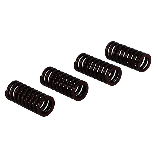 Valve spring set — 32-40 45" RL; WL; WR SIDEVALVES