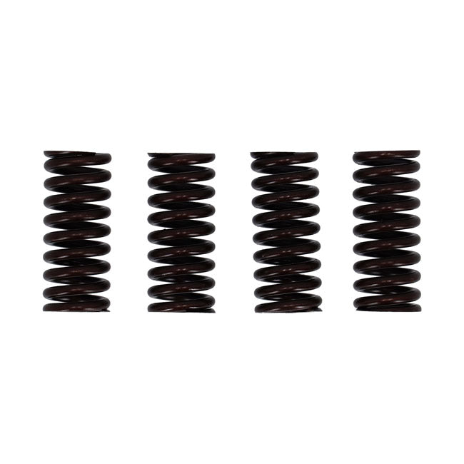 Valve spring set — 32-40 45" RL; WL; WR SIDEVALVES