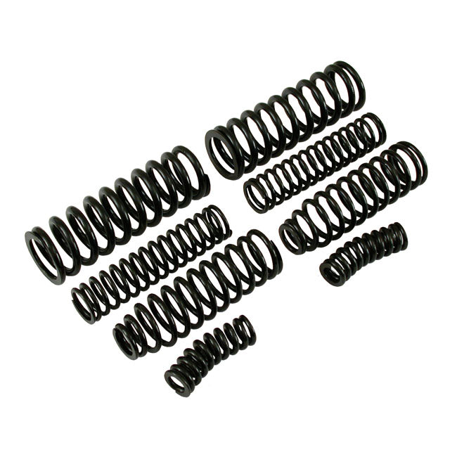 Heavy Duty 8-spring set for early Springer forks. Black