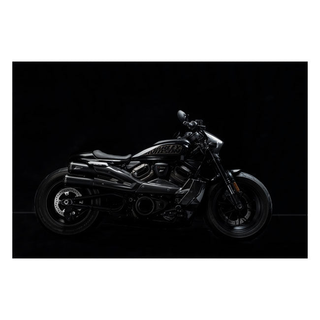 Zard, carbon headlamp fairing kit