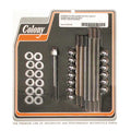 Colony crankcase bolt kit — 36-39 Knucklehead (NU)