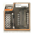Colony crankcase bolt kit — 70-78 SHOVEL (NU)