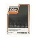 Colony star hub screws & washer set — 36-66 Big Twin (NU)
