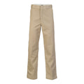 Dickies Original 874 work pants REC khaki