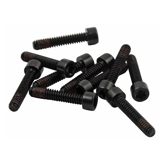 Bolt, alternator stator mount — 89-99 Evo Big Twin; 00-06 Softail Twin Cam; 99-06 Dyna Twin Cam; 91-01 XL Sportster (NU)