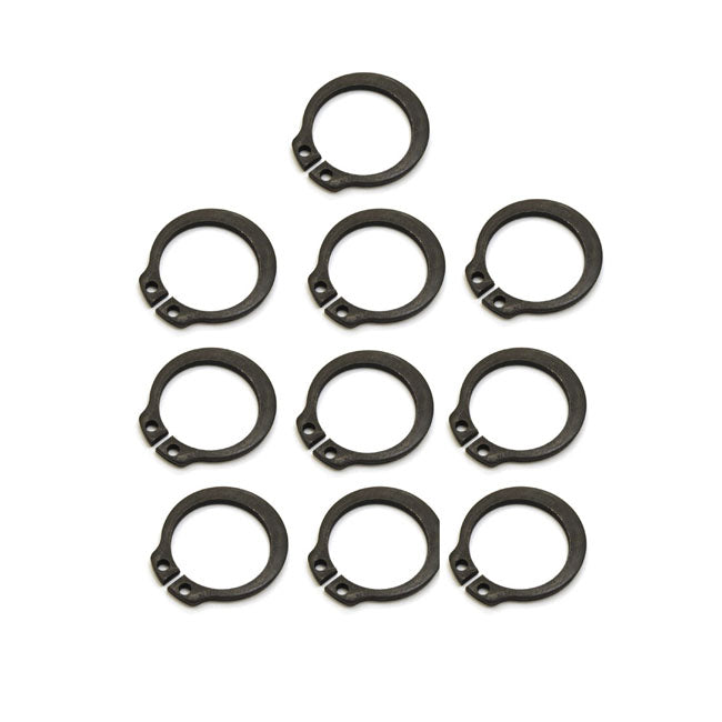 Retaining ring, primary chain lining