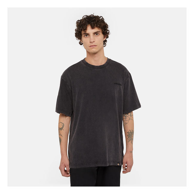 Dickies Plentywood t-shirt acid wash black
