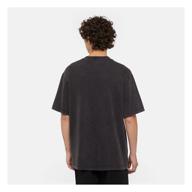 Dickies Plentywood t-shirt acid wash black