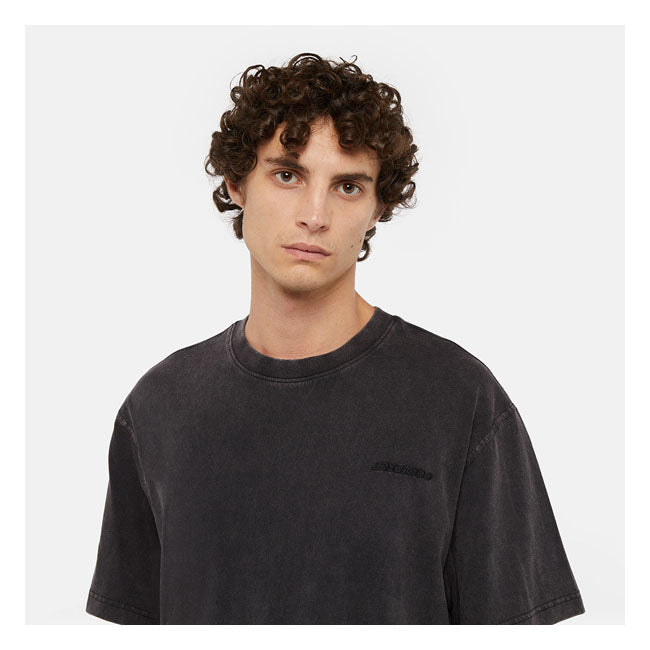 Dickies Plentywood t-shirt acid wash black