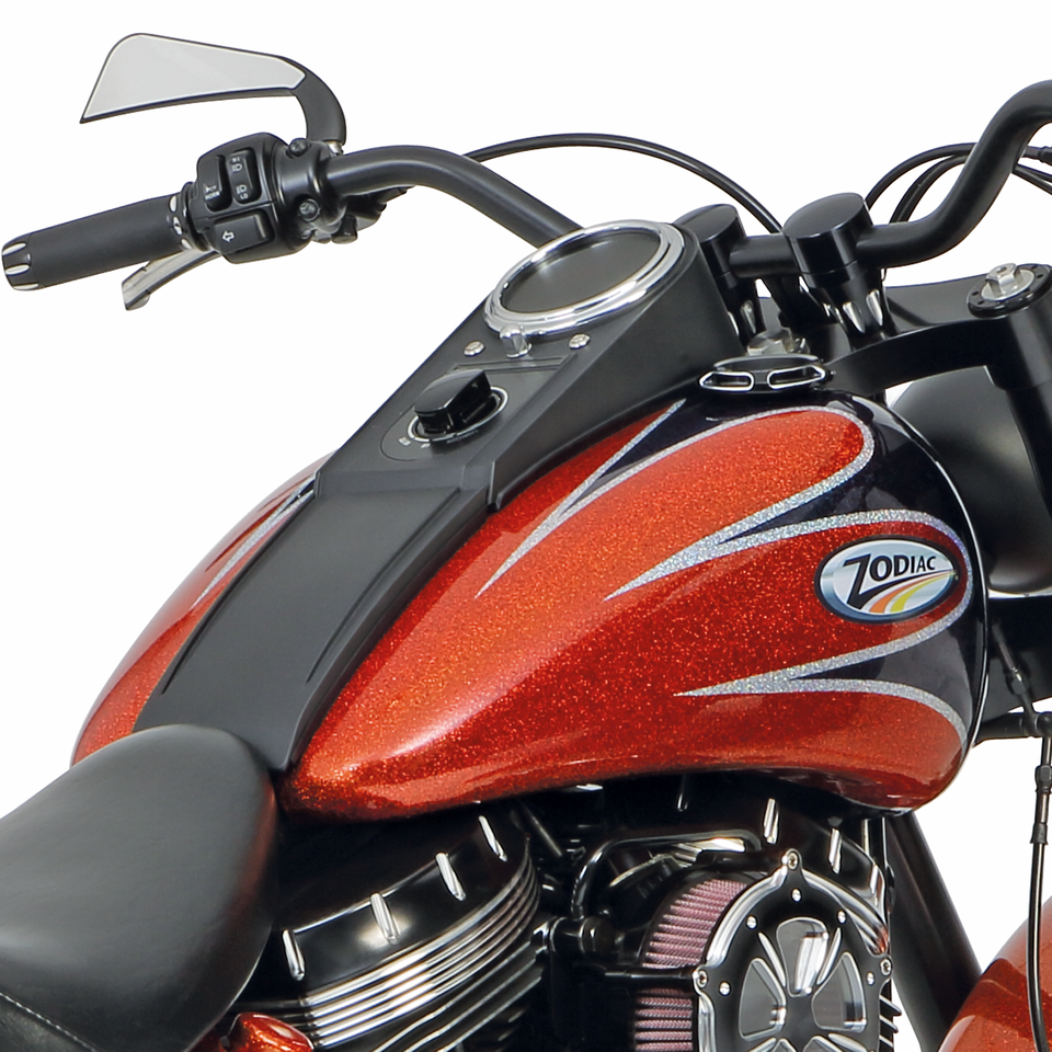 CUSTOM STYLE TANKS WITH DASH MOUNT FOR TWIN CAM SOFTAIL