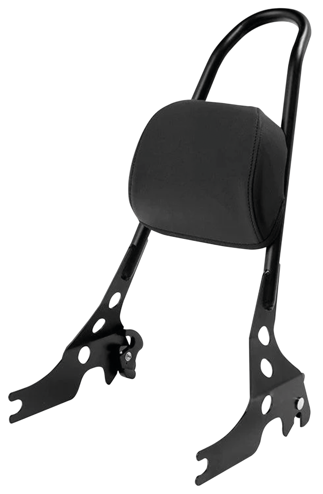 DETACHABLE ONE PIECE SISSY BAR FOR SPORTSTER