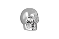 COBALT SKULL MARKER LIGHTS