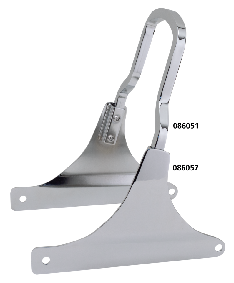 RIGID MOUNT SHORTY SISSY BARS
